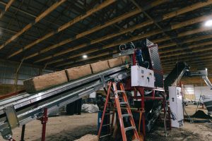 Potting Arborvitae in Hydrafiber