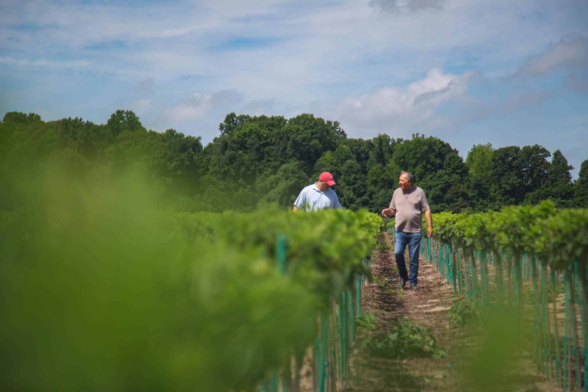 Angelo and AJ Petitti